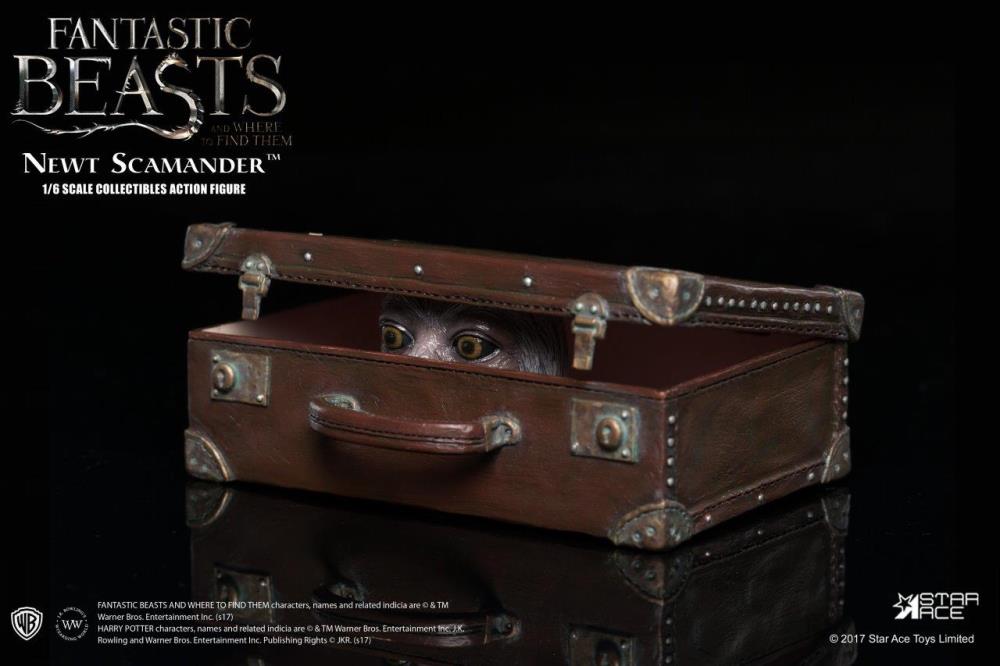 Fantastic Beasts and Where to Find Them Newt Scamander 1/6 Scale Collectible Figure Gallery Image 14