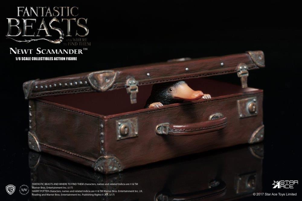 Fantastic Beasts and Where to Find Them Newt Scamander 1/6 Scale Collectible Figure Gallery Image 15