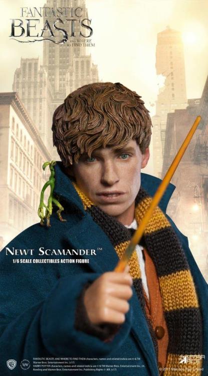 Fantastic Beasts and Where to Find Them Newt Scamander 1/6 Scale Collectible Figure Gallery Image 9