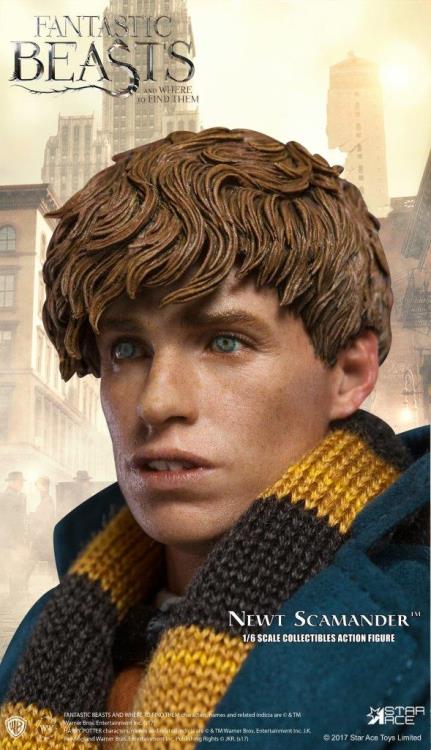 Fantastic Beasts and Where to Find Them Newt Scamander 1/6 Scale Collectible Figure Gallery Image 12