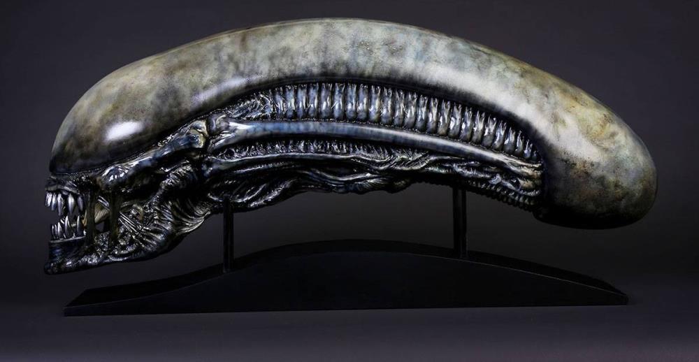 Alien: Covenant Xenomorph Head Life-Size Prop Replica Gallery Image 4