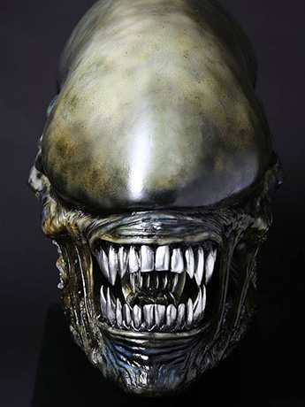 Alien: Covenant Xenomorph Head Life-Size Prop Replica Gallery Image 2