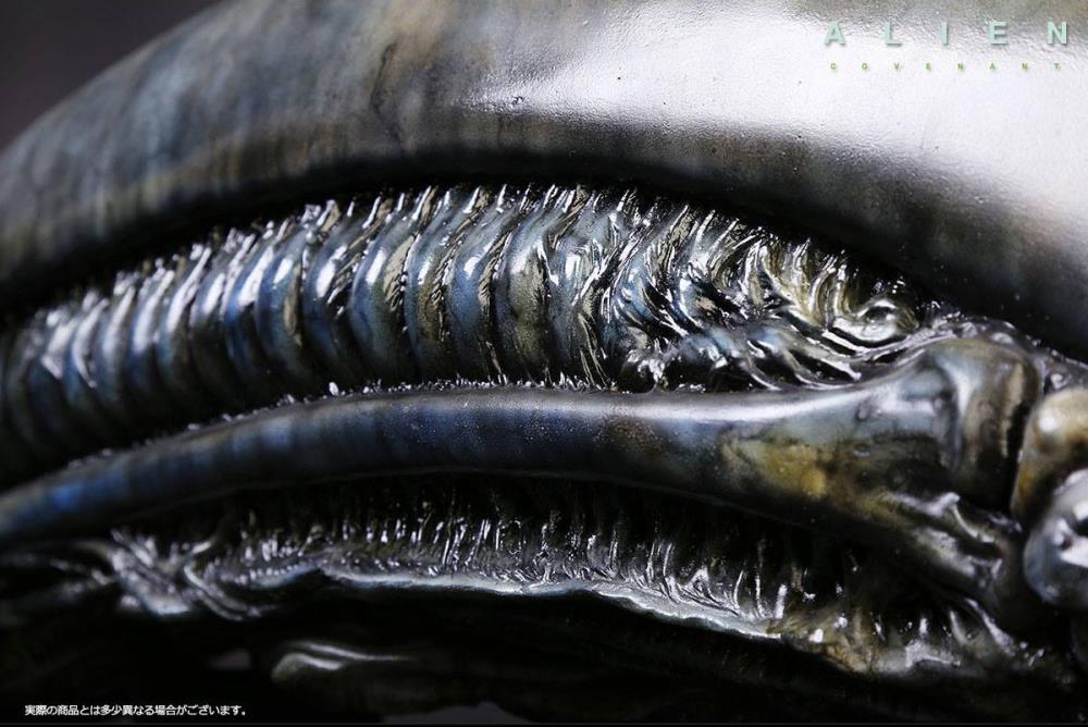 Alien: Covenant Xenomorph Head Life-Size Prop Replica Gallery Image 10