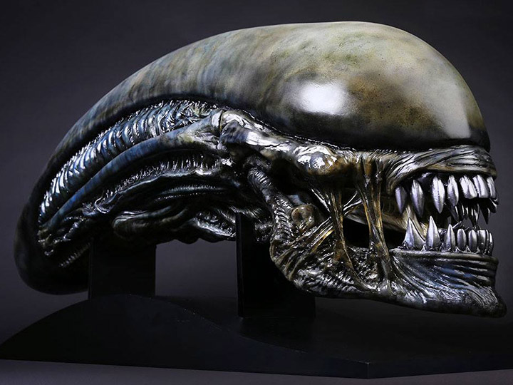 Alien: Covenant Xenomorph Head Life-Size Prop Replica Gallery Image 1