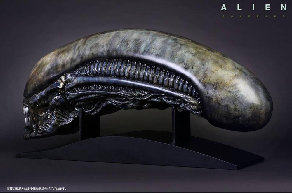 Alien: Covenant Xenomorph Head Life-Size Prop Replica Gallery Image 3