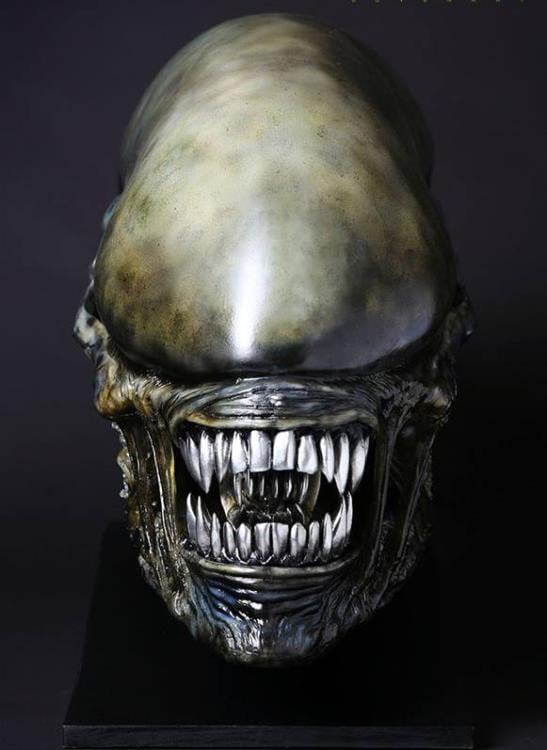 Alien: Covenant Xenomorph Head Life-Size Prop Replica Gallery Image 9