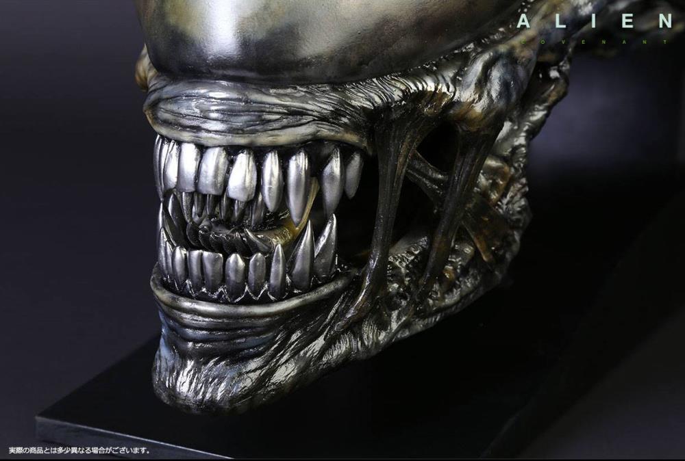 Alien: Covenant Xenomorph Head Life-Size Prop Replica Gallery Image 11