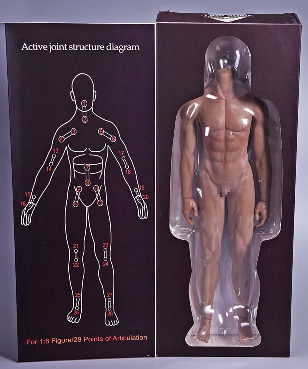 Seamless Action Figure 1/6 Scale Male Body (Pale)