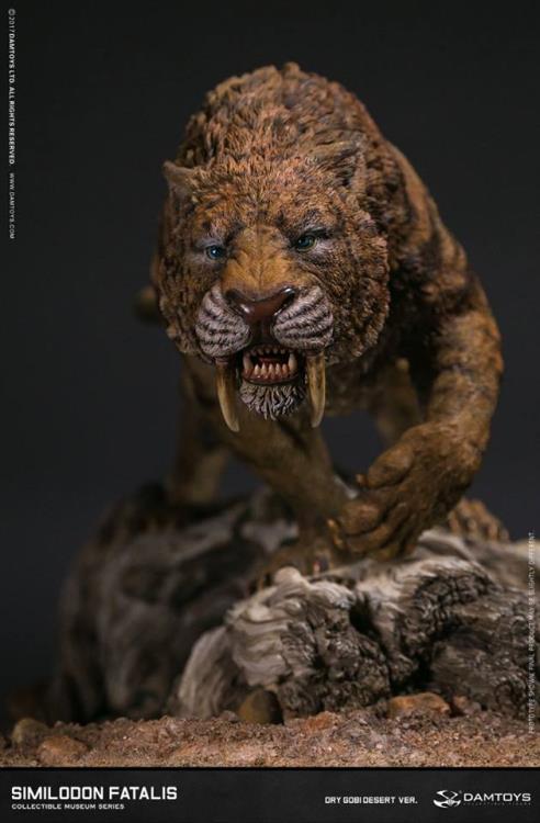 Smilodon fatalis (Dry Gobi Desert Version) MUS003B Collectible Museum Series Statue Gallery Image 10