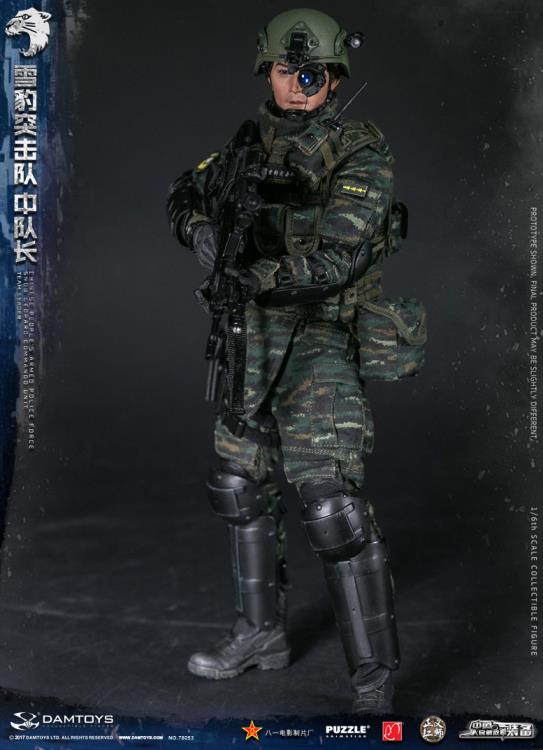 Chinese People's Armed Police Force Snow Leopard Commando Unit Team Leader 1/6 Scale Figure Gallery Image 3