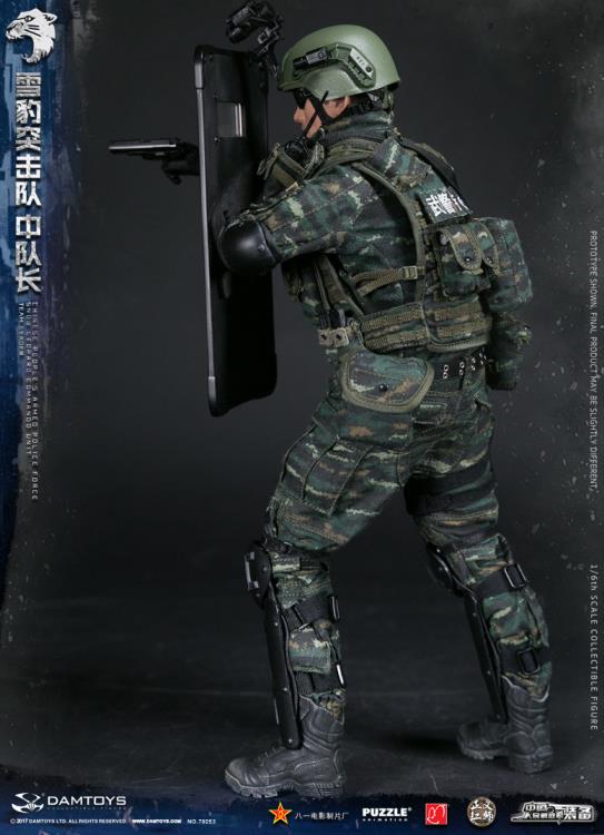 Chinese People's Armed Police Force Snow Leopard Commando Unit Team Leader 1/6 Scale Figure Gallery Image 7