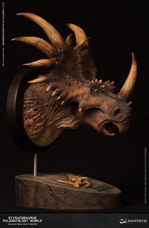 Styracosaurus (Brown) Paleontology World MUS004B Collectible Museum Series Bust Gallery Image 6