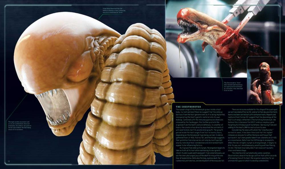 Alien: The Weyland-Yutani Report Gallery Image 6