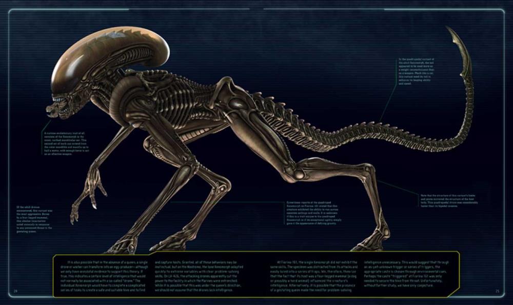 Alien: The Weyland-Yutani Report Gallery Image 4
