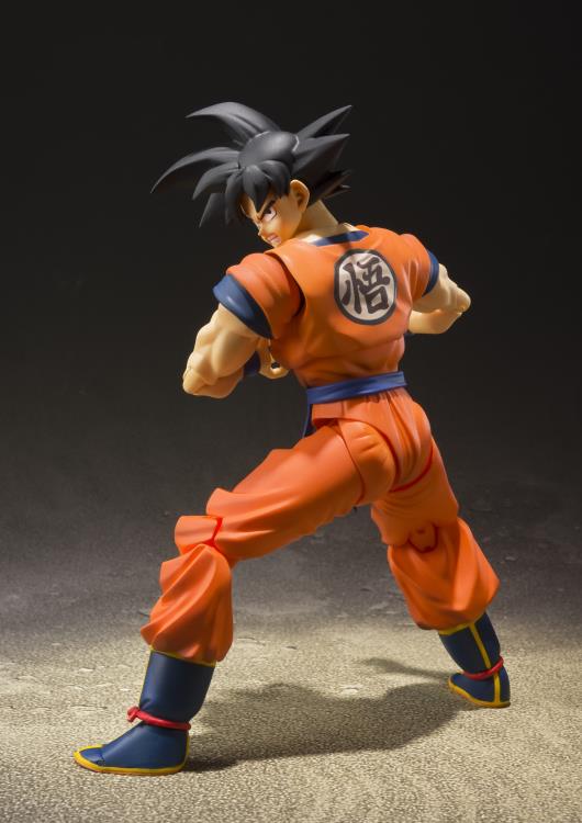 Dragon Ball Z S.H.Figuarts Goku (A Saiyan Raised On Earth) Action Figure Gallery Image 4