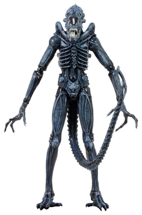 Aliens Series 02 Xenomorph Warrior Figure Gallery Image 3