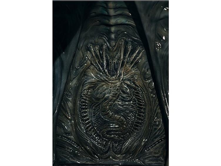 Alien Legendary Scale Alien Warrior Gallery Image 3