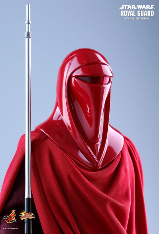 Star Wars: Return of the Jedi MMS469 Royal Guard 1/6th Scale Collectible Figure Gallery Image 12