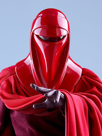 Star Wars: Return of the Jedi MMS469 Royal Guard 1/6th Scale Collectible Figure Gallery Image 2