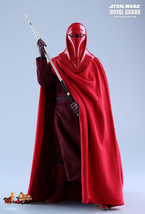 Star Wars: Return of the Jedi MMS469 Royal Guard 1/6th Scale Collectible Figure Gallery Image 4