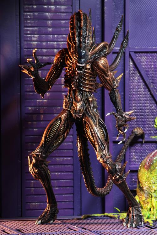 Aliens Series 13 Set of 3 Figures Gallery Image 11