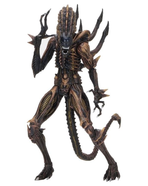 Aliens Series 13 Set of 3 Figures Gallery Image 8