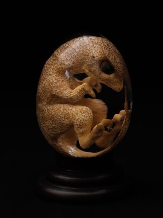 Oddities Genetically Modified Chickenosaurus Embryo Replica Gallery Image 3