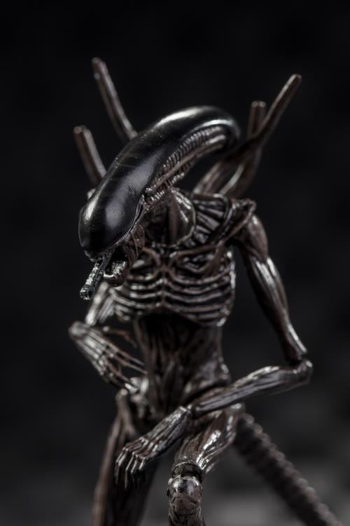 Alien: Covenant Xenomorph 1:18 Scale PX Previews Exclusive Action Figure Gallery Image 6