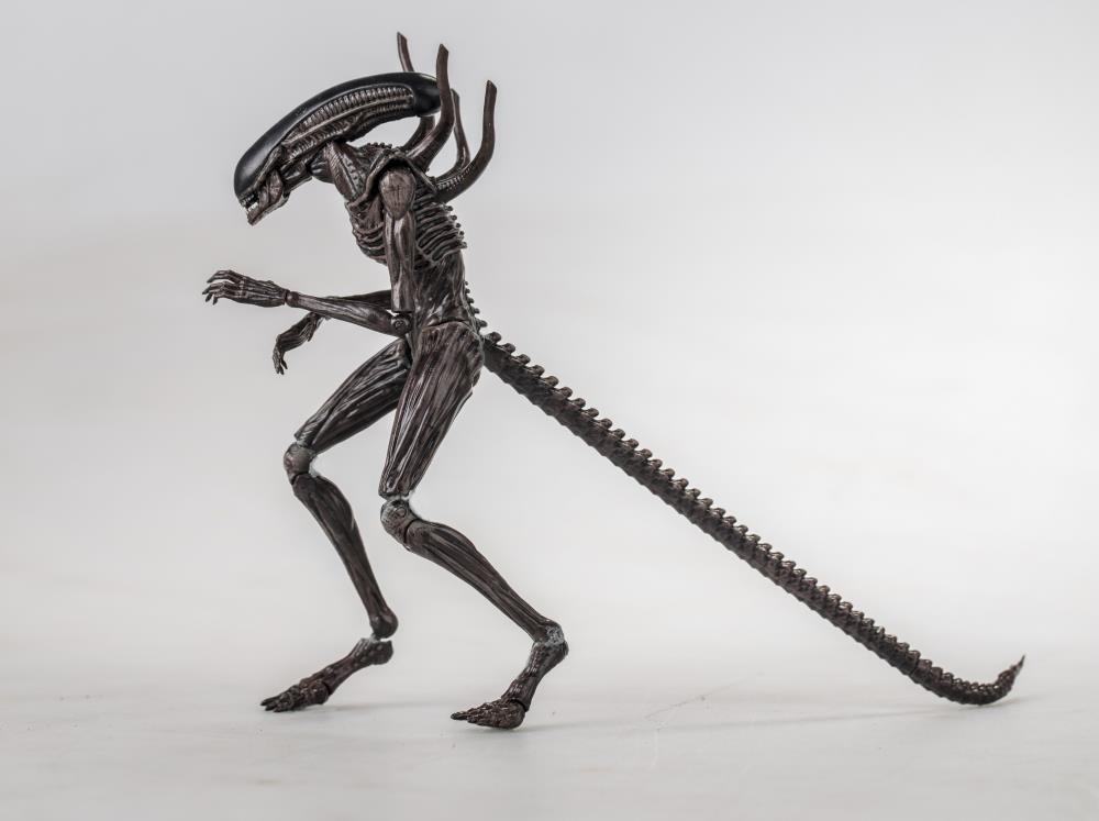 Alien: Covenant Xenomorph 1:18 Scale PX Previews Exclusive Action Figure Gallery Image 5