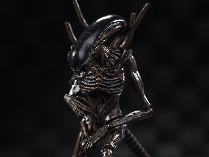 Alien: Covenant Xenomorph 1:18 Scale PX Previews Exclusive Action Figure Gallery Image 1