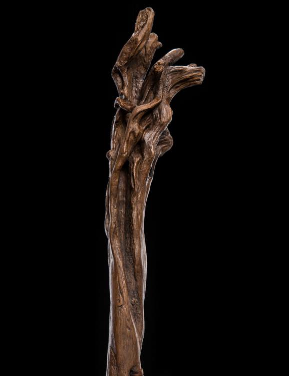 The Lord of the Rings Pipe Staff of Gandalf the Grey Gallery Image 4