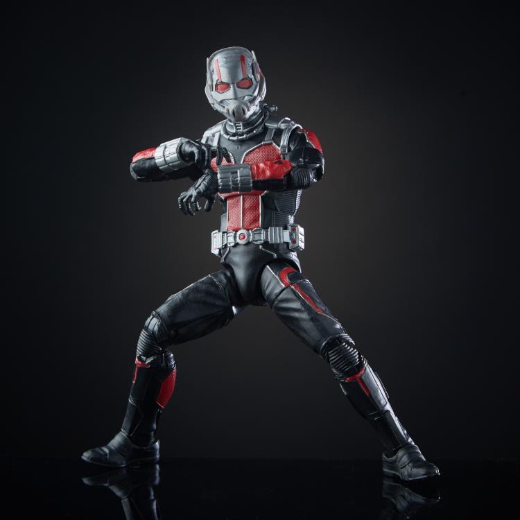 Marvel Studios: The First Ten Years Marvel Legends Ant-Man & Yellowjacket Two-Pack Gallery Image 5