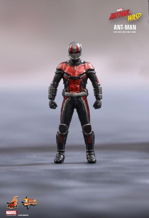 Ant-Man and the Wasp MMS497 Ant-Man 1/6th Scale Collectible Figure Gallery Image 19