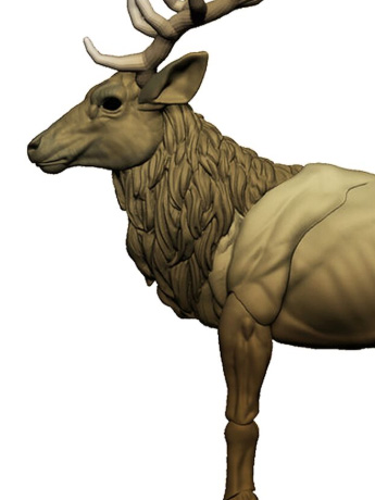 Vitruvian H.A.C.K.S. Mighty Steeds Kawiki Gallery Image 2