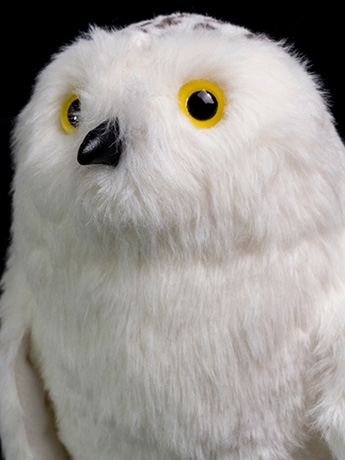 Harry Potter Hedwig Plush Gallery Image 2