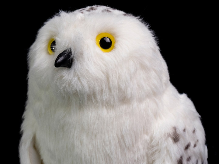 Harry Potter Hedwig Plush Gallery Image 1
