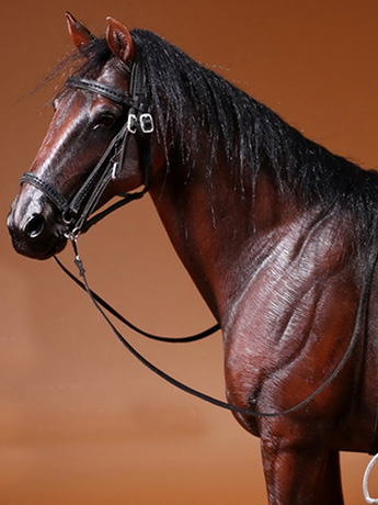 German Hanoverian Horse (Dark Brown) 1/6 Scale Figure Gallery Image 2