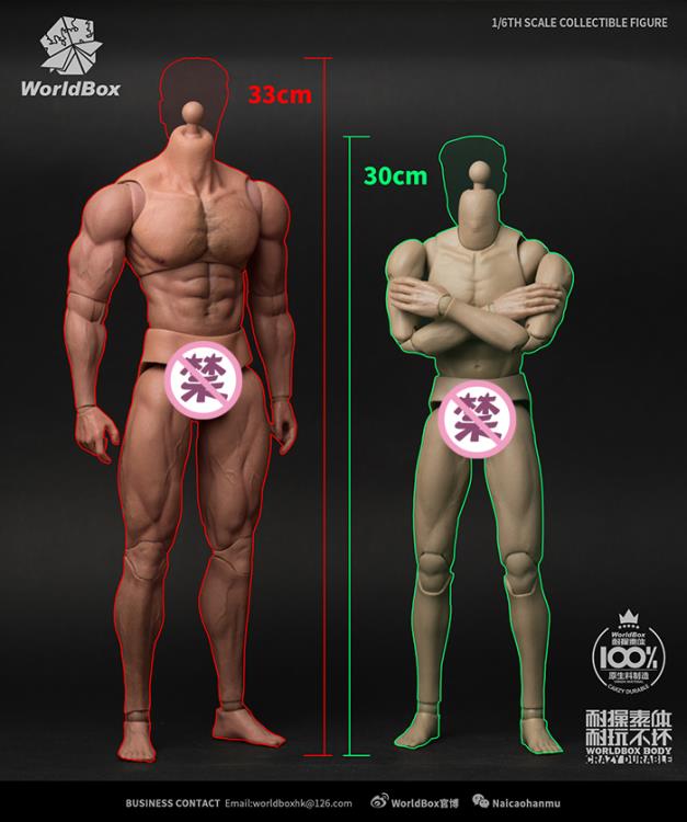 1/6 Scale Durable Body (Ripped) Gallery Image 9