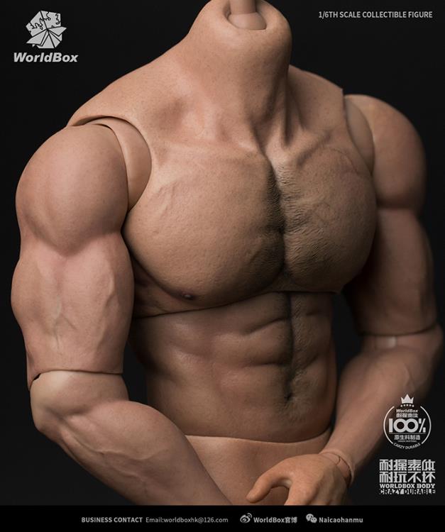1/6 Scale Durable Body (Ripped) Gallery Image 7