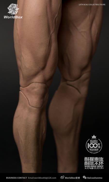 1/6 Scale Durable Body (Ripped) Gallery Image 6