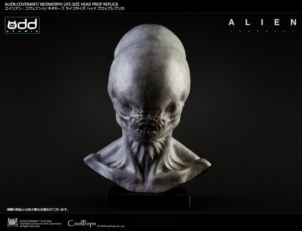 Alien: Covenant Neomorph Life-Size Head Prop Replica Gallery Image 3