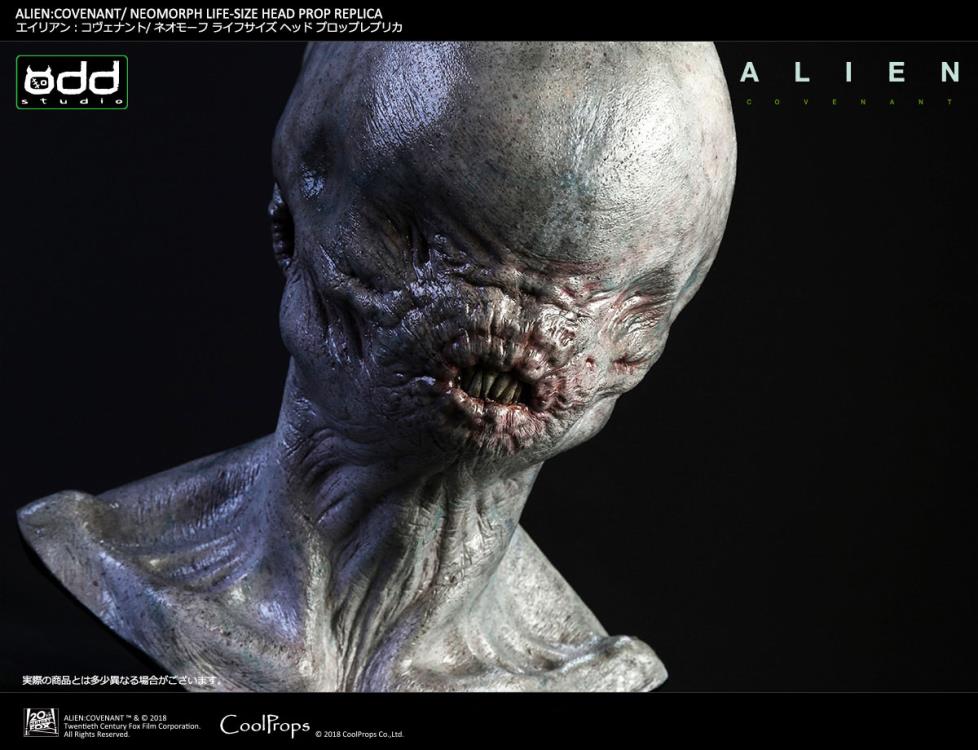 Alien: Covenant Neomorph Life-Size Head Prop Replica Gallery Image 12