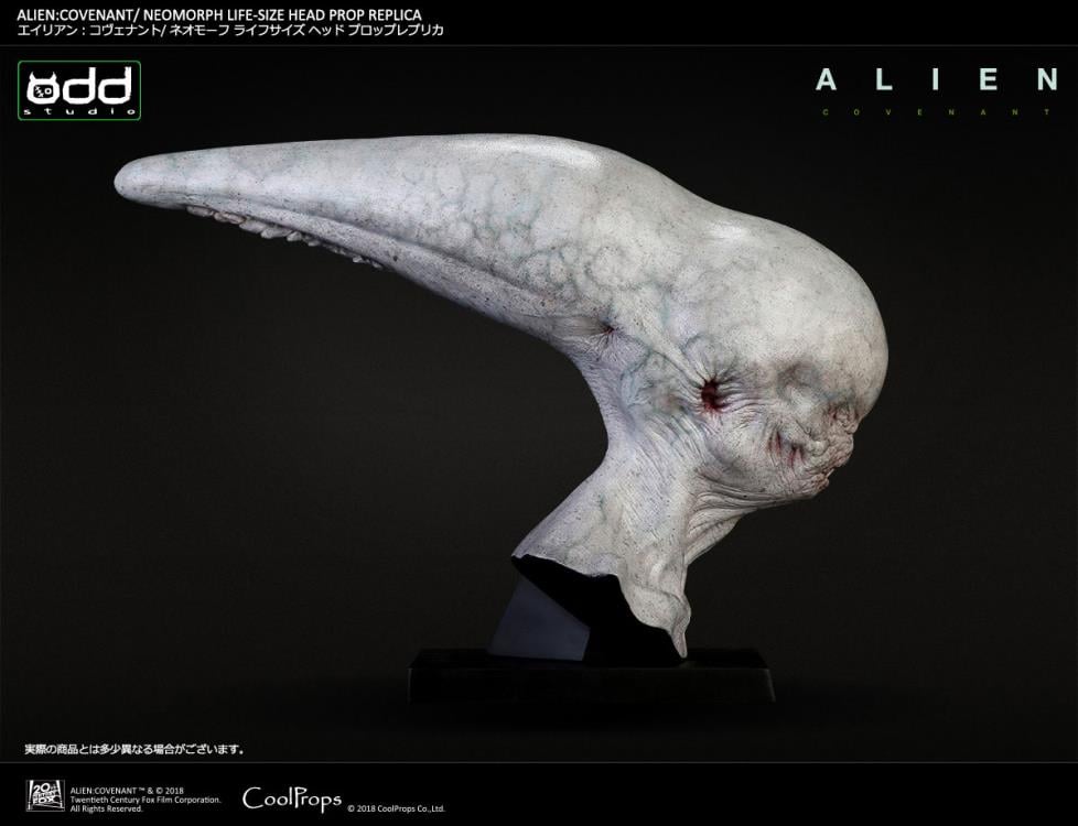 Alien: Covenant Neomorph Life-Size Head Prop Replica Gallery Image 11