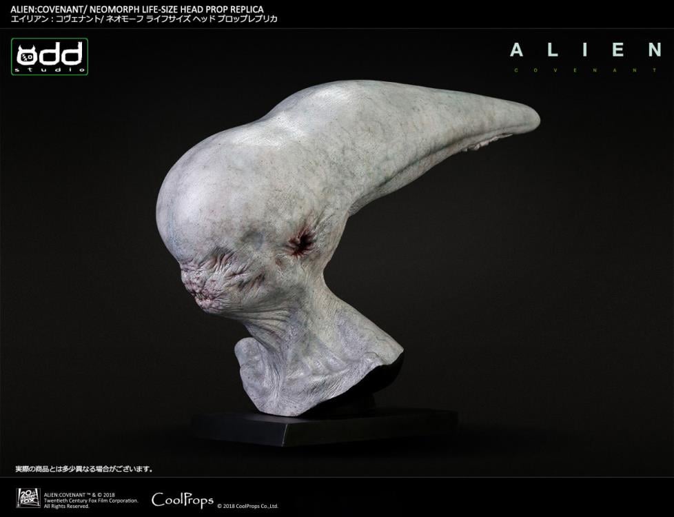 Alien: Covenant Neomorph Life-Size Head Prop Replica Gallery Image 6