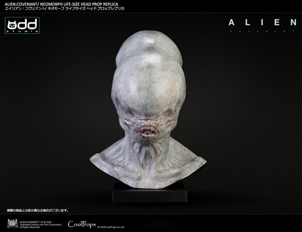 Alien: Covenant Neomorph Life-Size Head Prop Replica Gallery Image 5