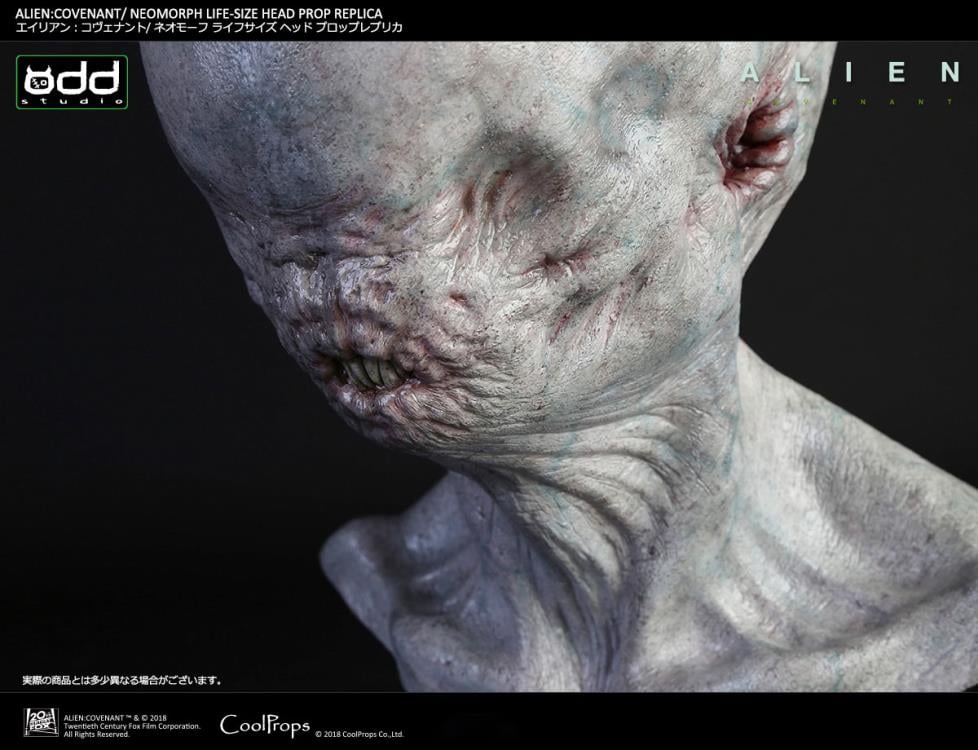 Alien: Covenant Neomorph Life-Size Head Prop Replica Gallery Image 13