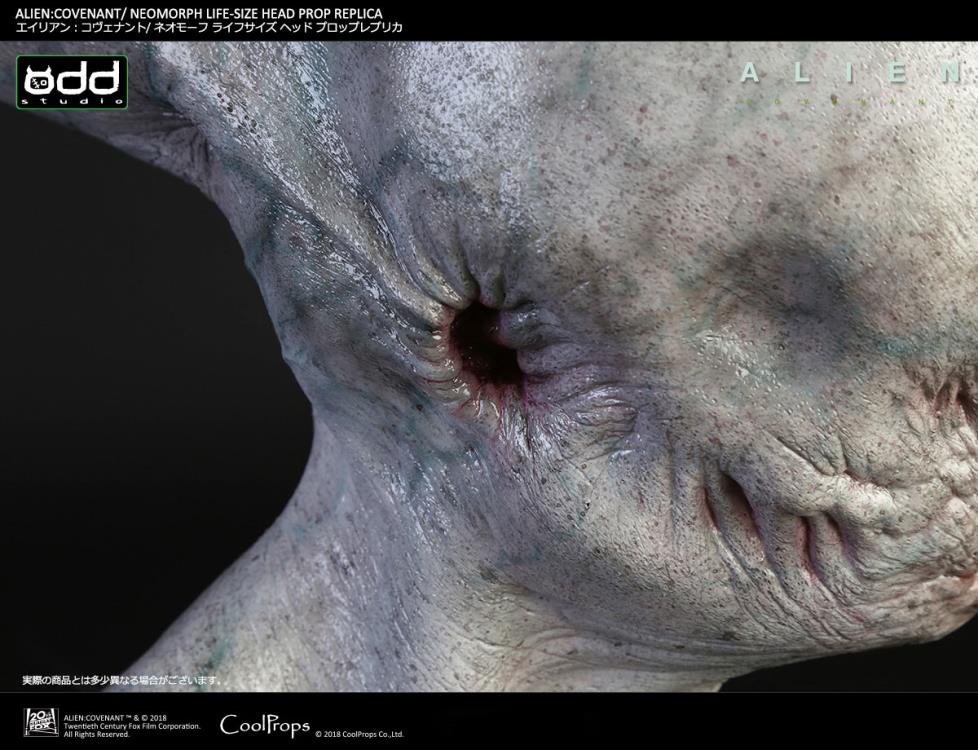 Alien: Covenant Neomorph Life-Size Head Prop Replica Gallery Image 14