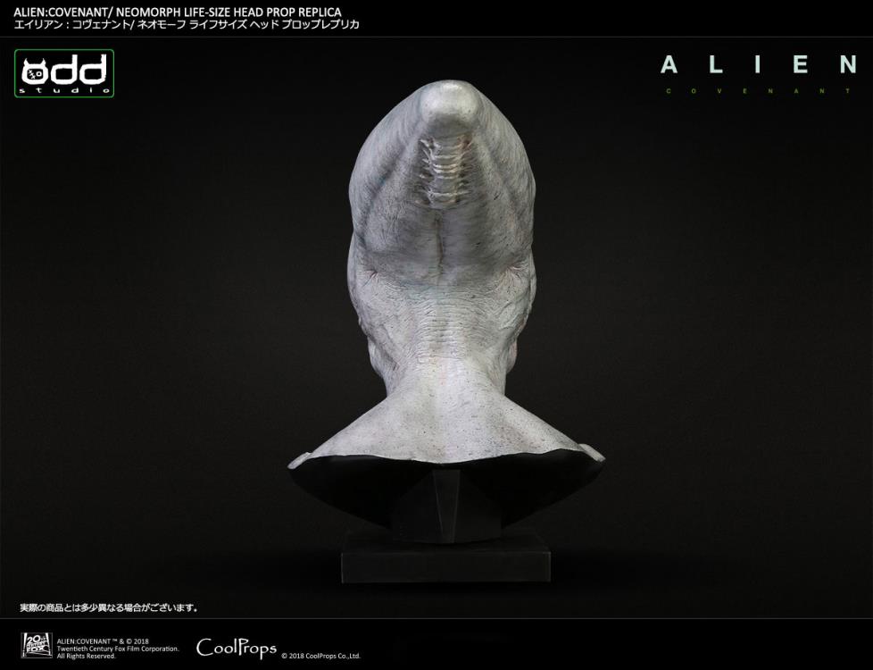Alien: Covenant Neomorph Life-Size Head Prop Replica Gallery Image 9