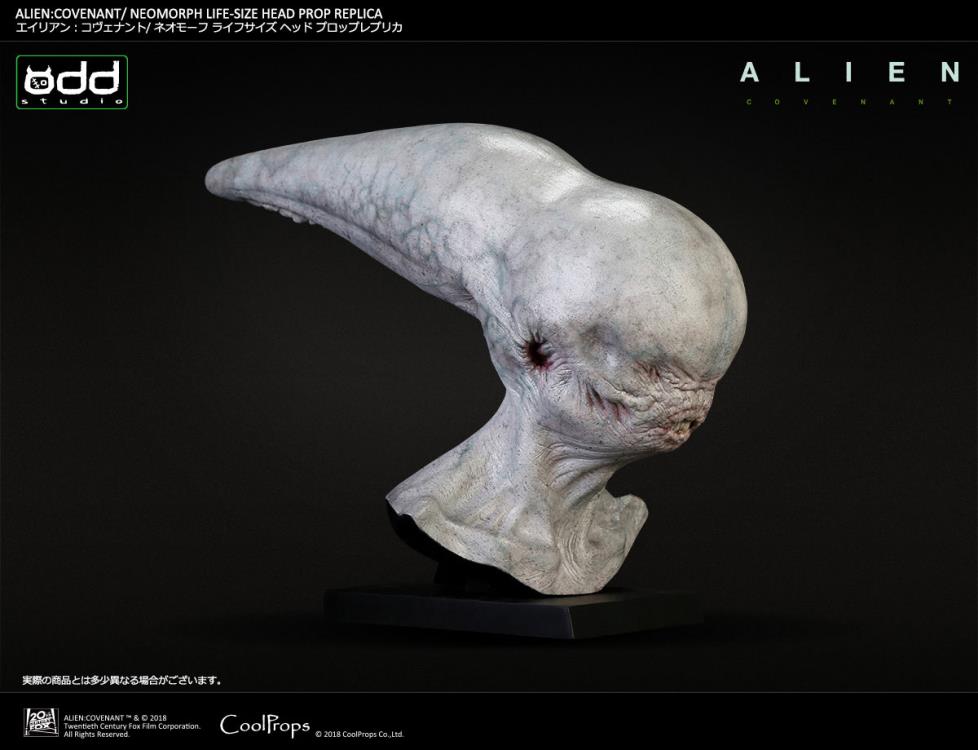 Alien: Covenant Neomorph Life-Size Head Prop Replica Gallery Image 16