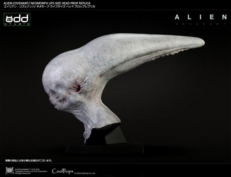 Alien: Covenant Neomorph Life-Size Head Prop Replica Gallery Image 7